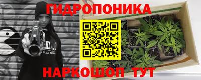 ECSTASY Малгобек